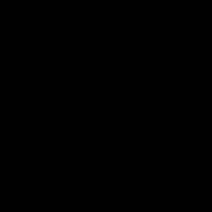 Meet your Posher, Deyja